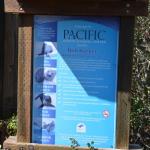 TourdSoCal_1_0025 (September 11, 2015)